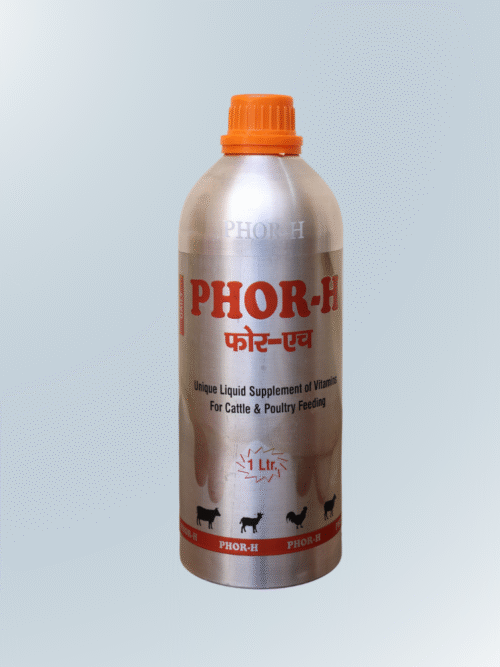 Untitled design - 2025-09-30T110845.516 Phor-H