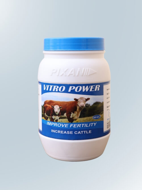 Untitled design (82) Vitro Power 600 gm