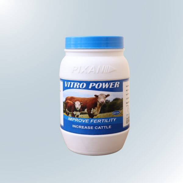 Vitro Power 600 gm