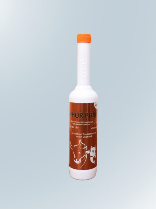 Untitled design (87) PHOR PHINE GEL 300 GM