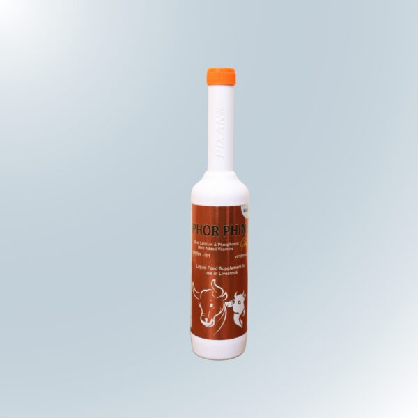 PHOR PHINE GEL 300 GM