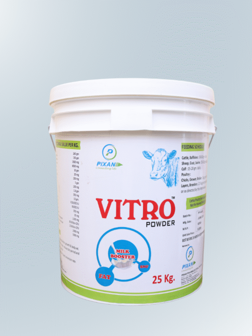 Vitro Powder
