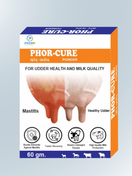 Untitled design - 2025-10-01T152258.627 Phor-Cure