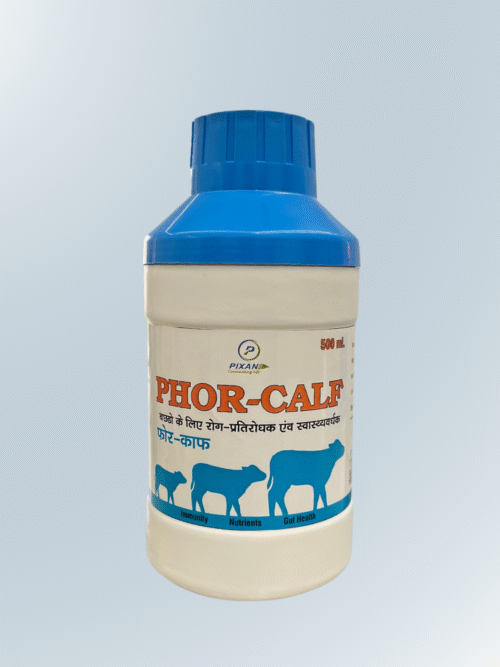 Phor-Calf