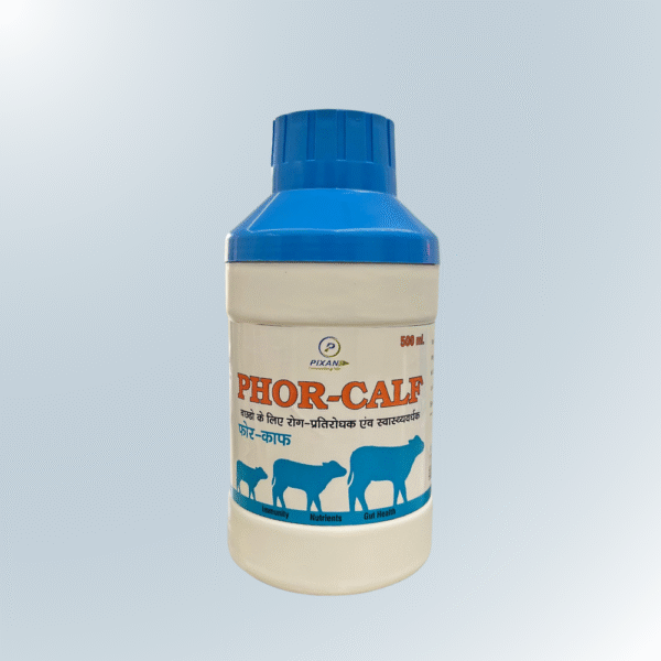 Phor-Calf